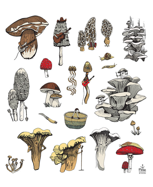PNW Mushrooms