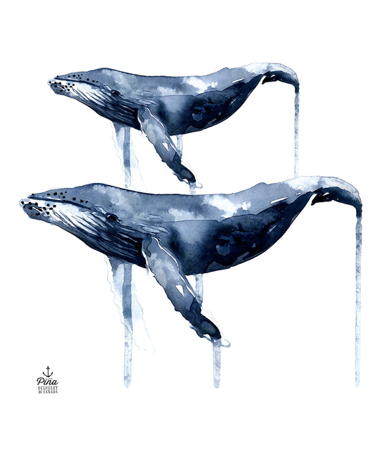 Watercolour Humpbacks