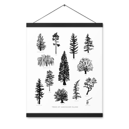Tree Species Poster With Hangers