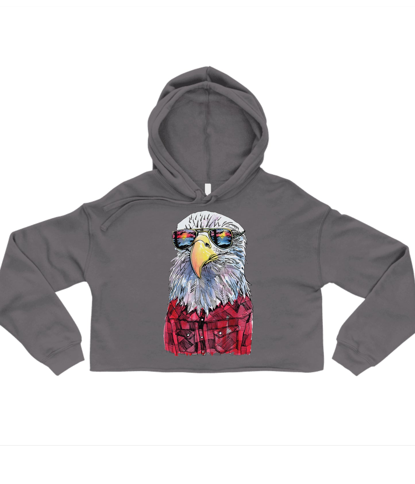 Hipster Eagle in Colour Crop Hoodie