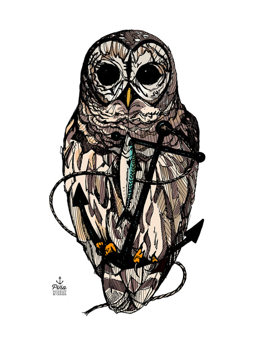 Owl & Anchor