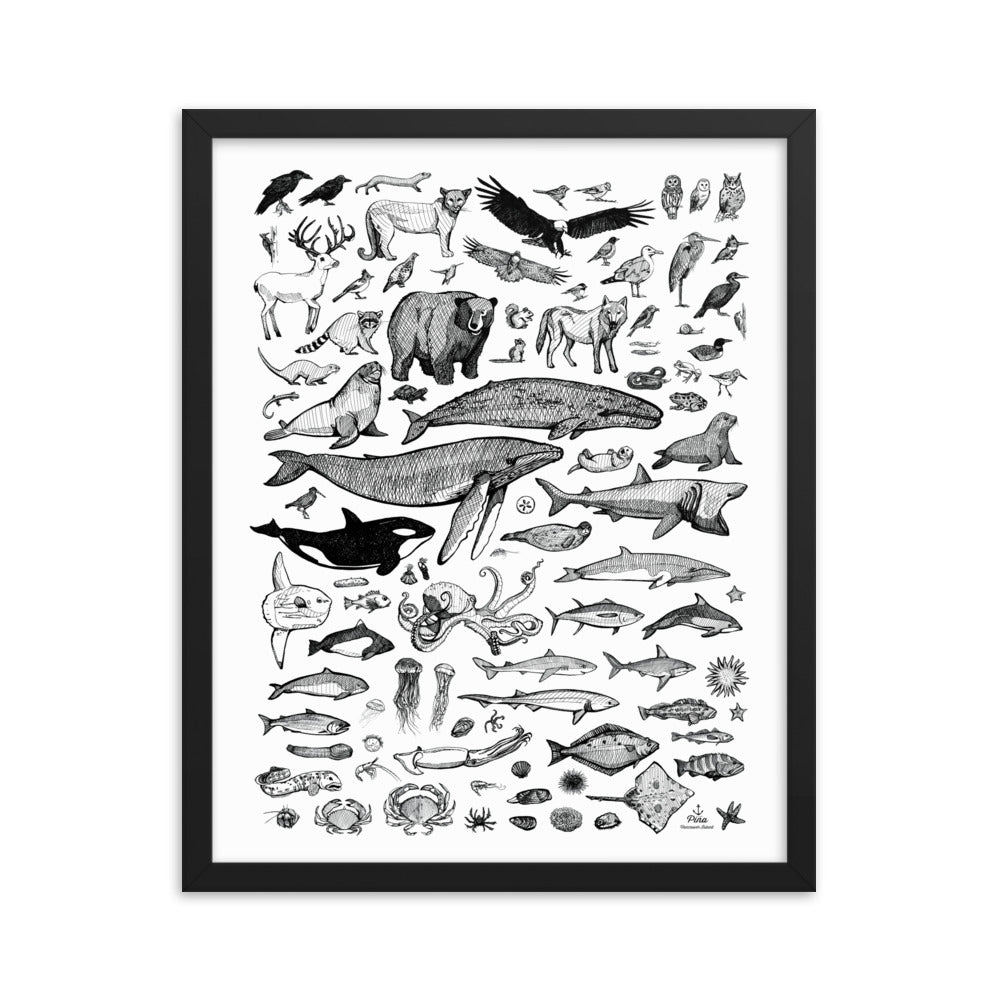 Species of Ucluelet Framed Print