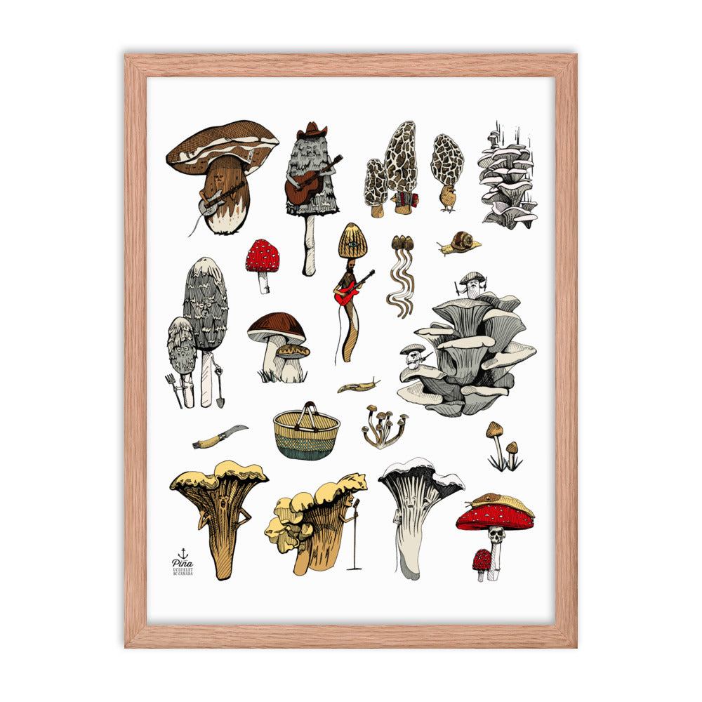 PNW Mushrooms Colour Framed Print