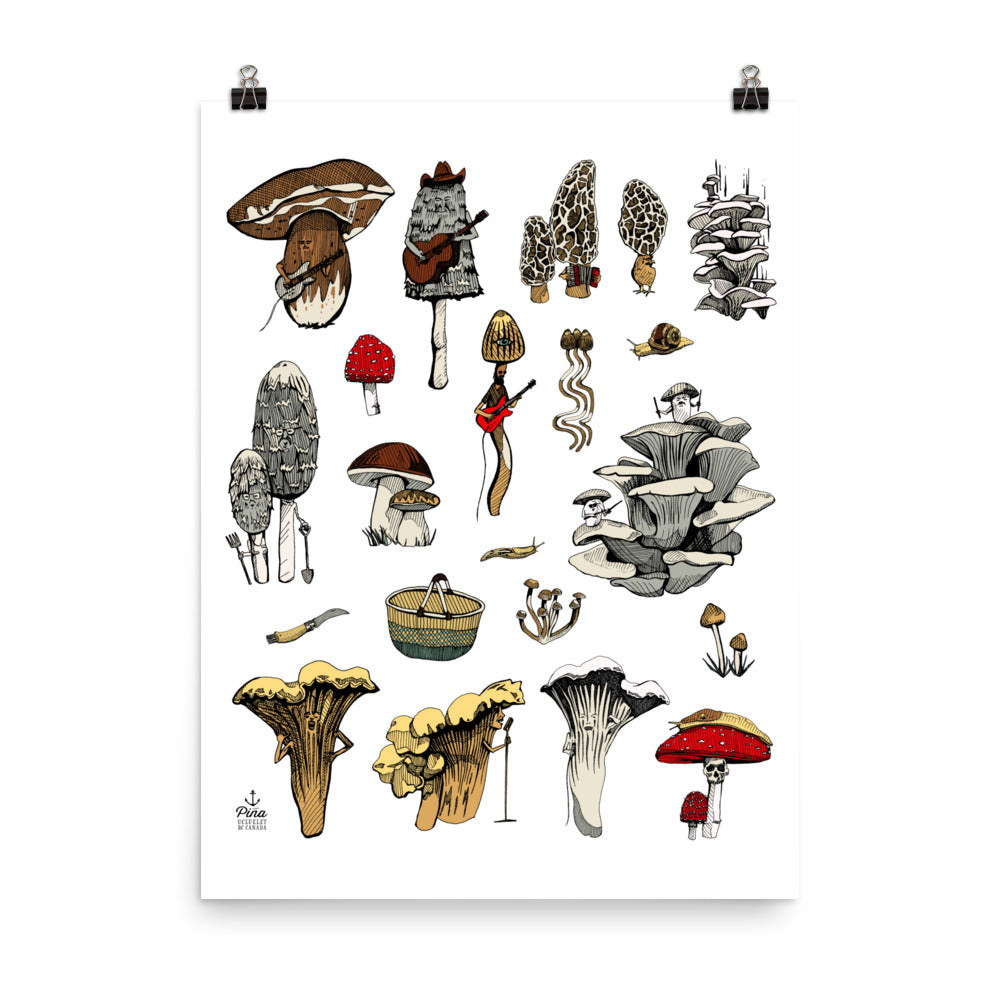 PNW Mushrooms Colour Matte Poster