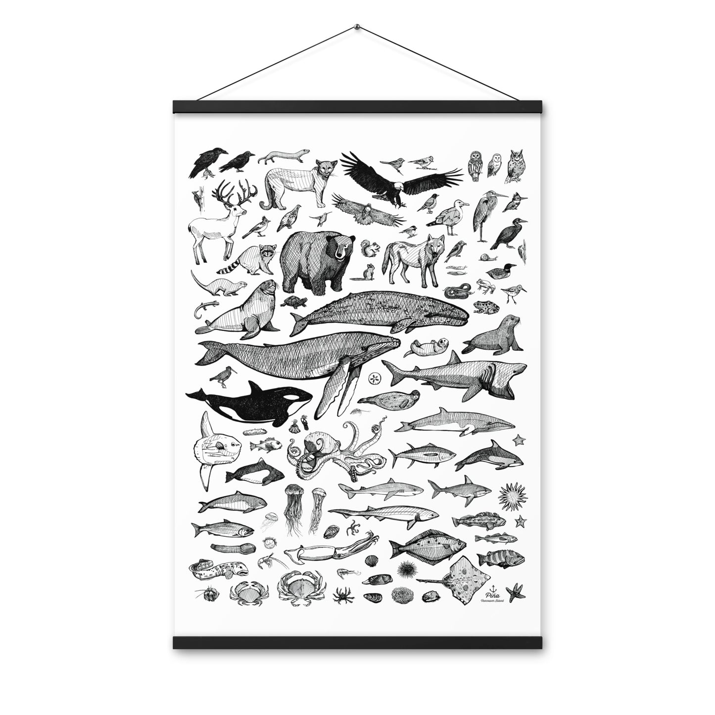 Species of Ucluelet Poster With Hangers