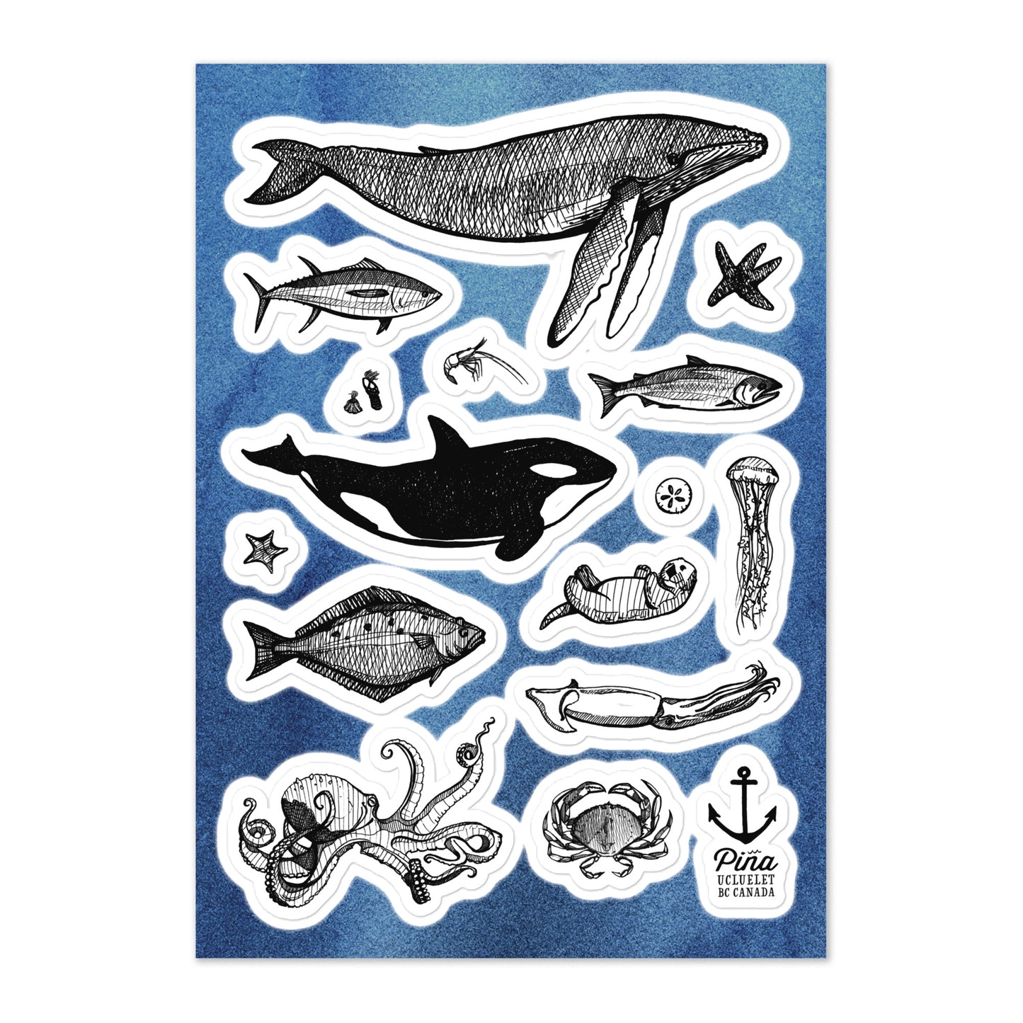 Species of Ucluelet Ocean Animals Sticker sheet