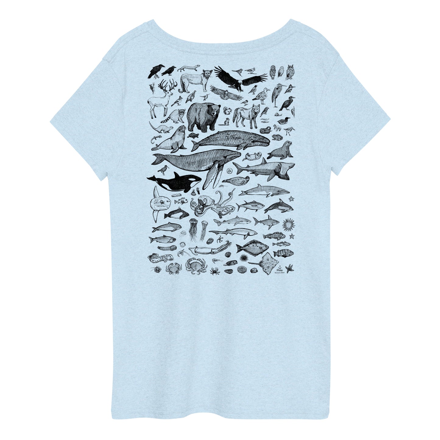 Species of Ucluelet Ladies Eco V-Neck Tee