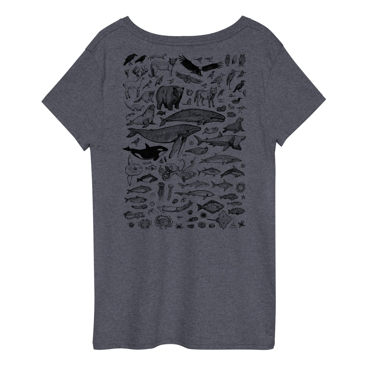 Species of Ucluelet Ladies Eco V-Neck Tee