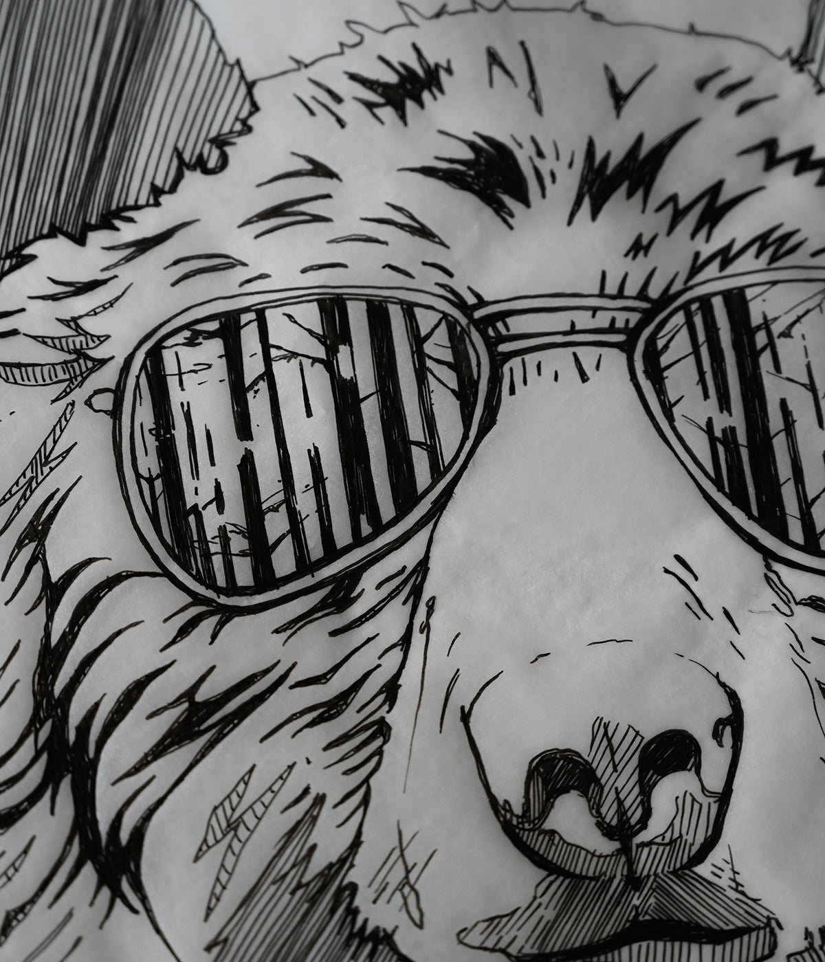 Hipster Bear Design