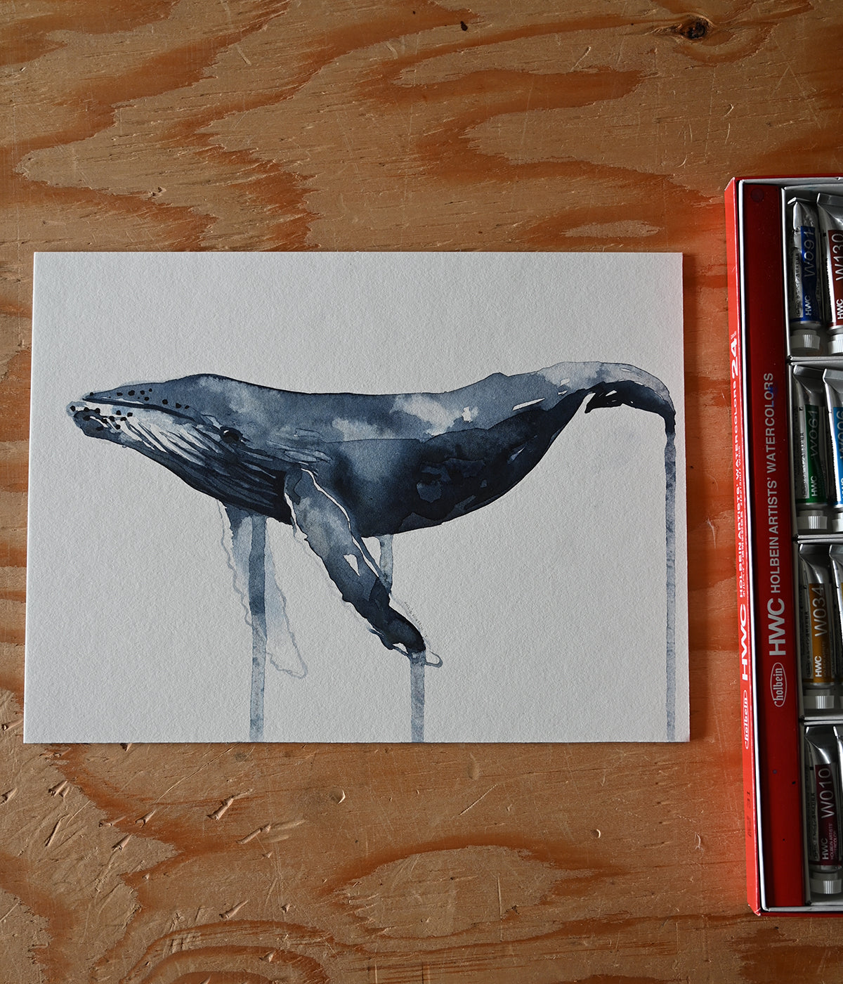 Watercolour Humpback Design