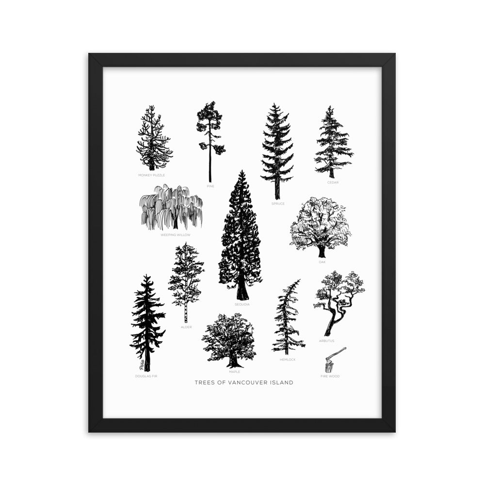 Tree Species Framed Print