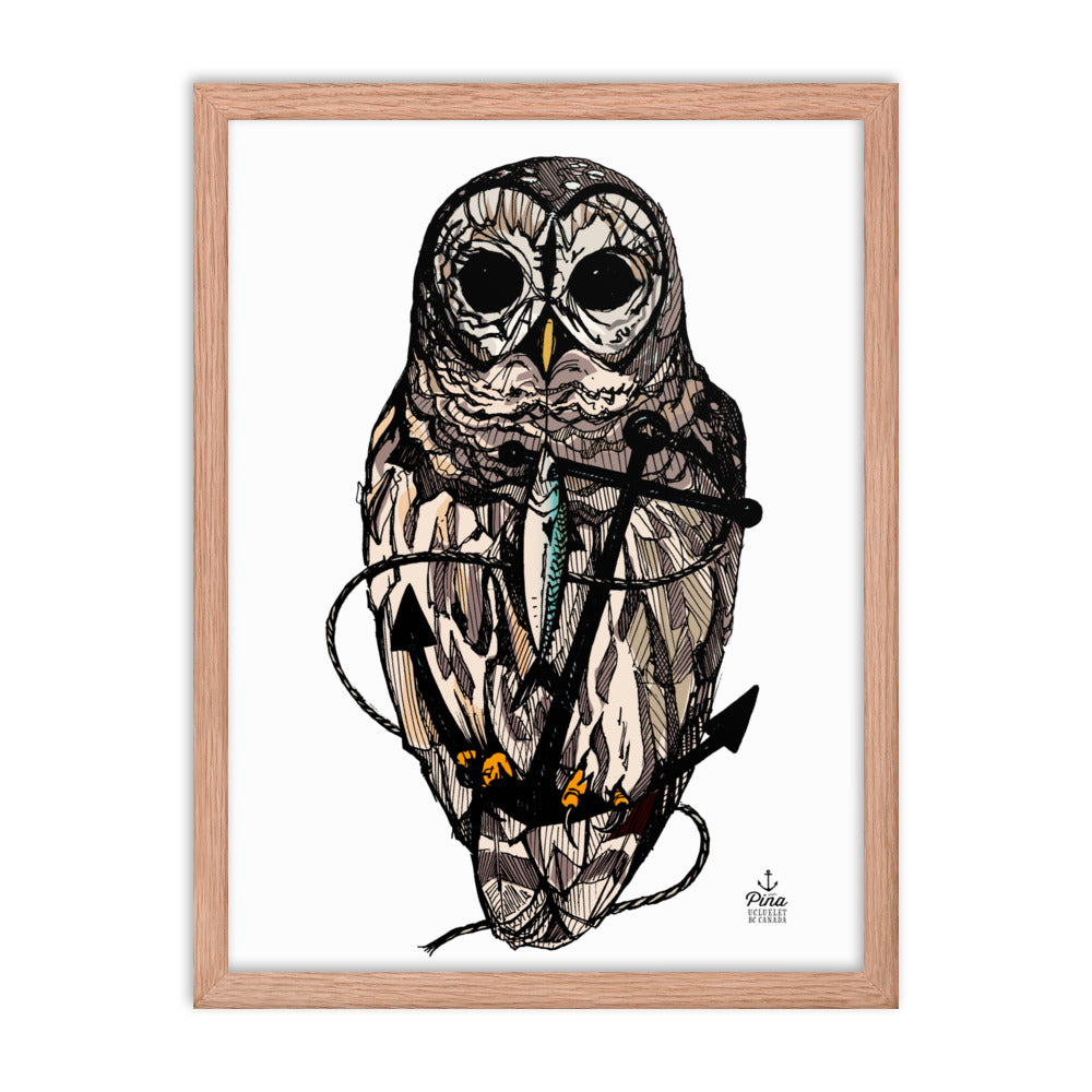 Owl & Anchor Colour Framed Print