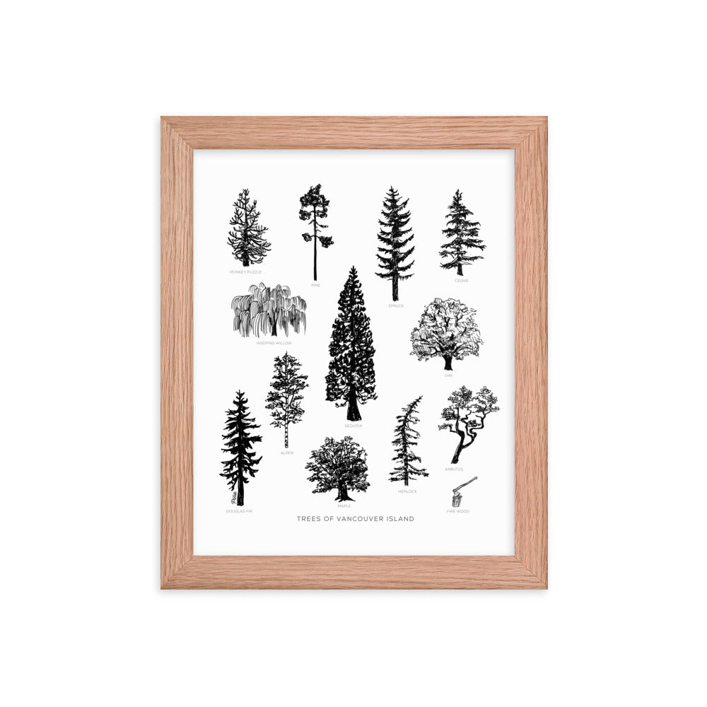 Tree Species Framed Print