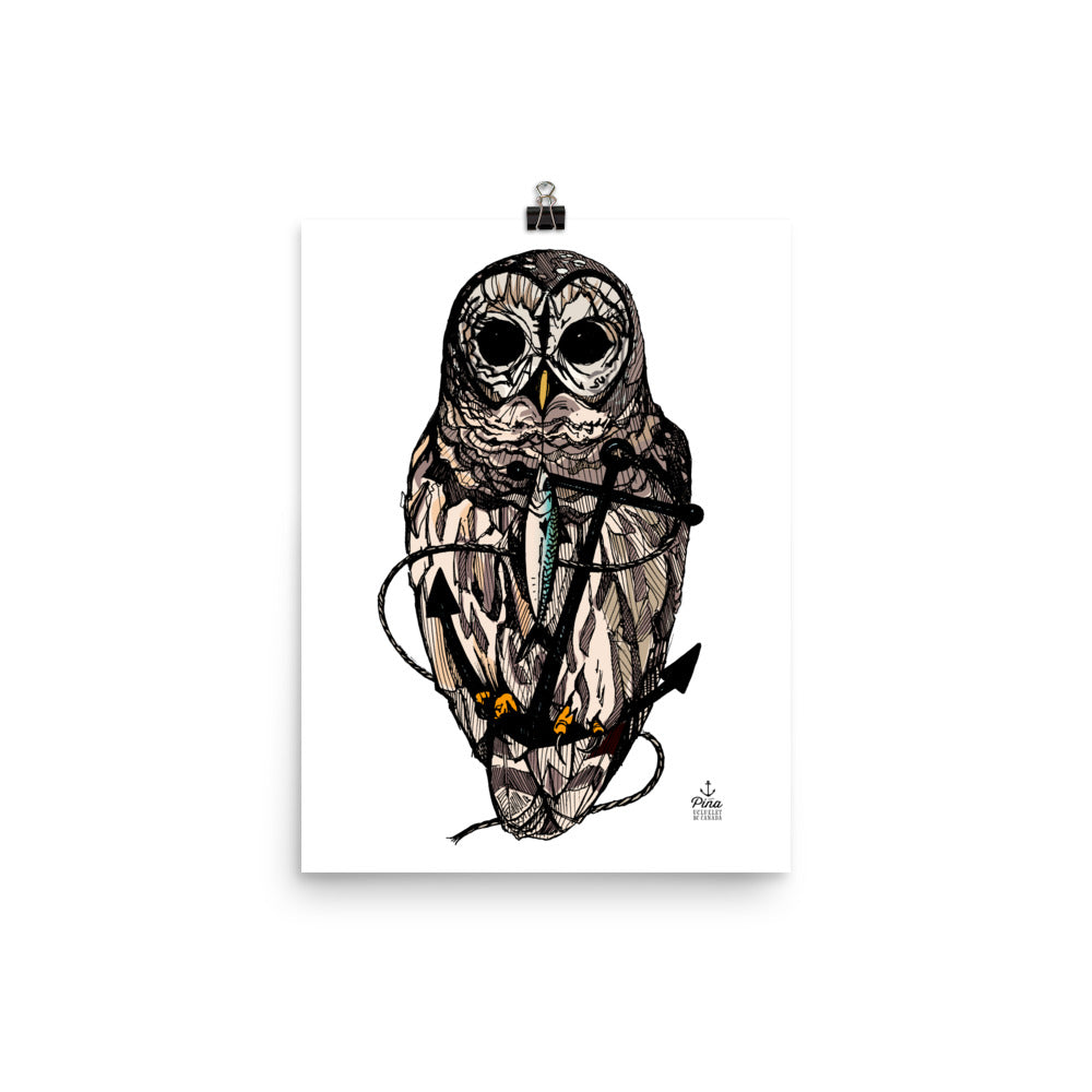 Owl & Anchor Colour Matte Poster