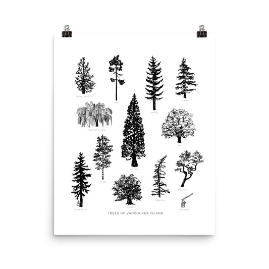 Tree Species Matte Poster