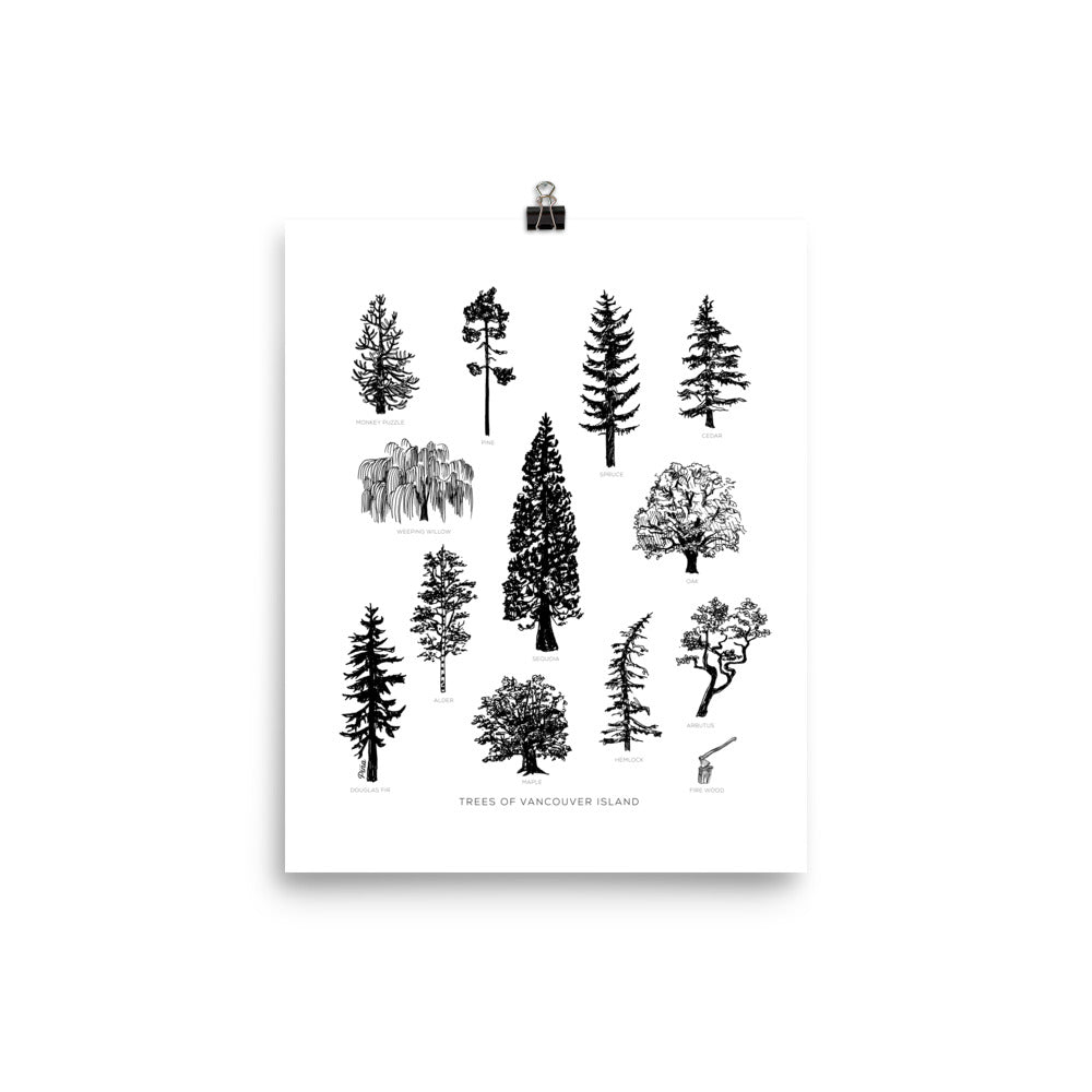 Tree Species Matte Poster