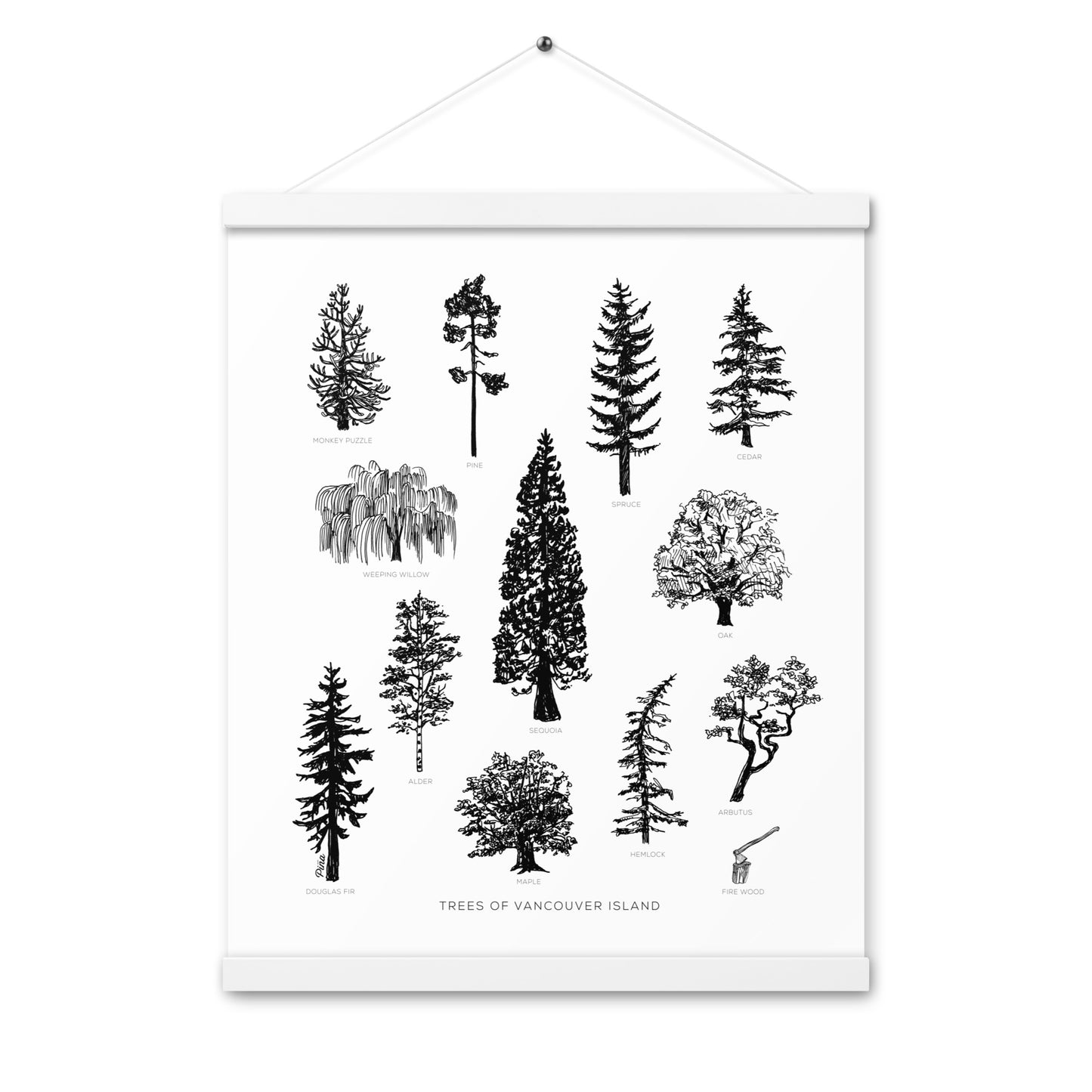 Tree Species Poster With Hangers
